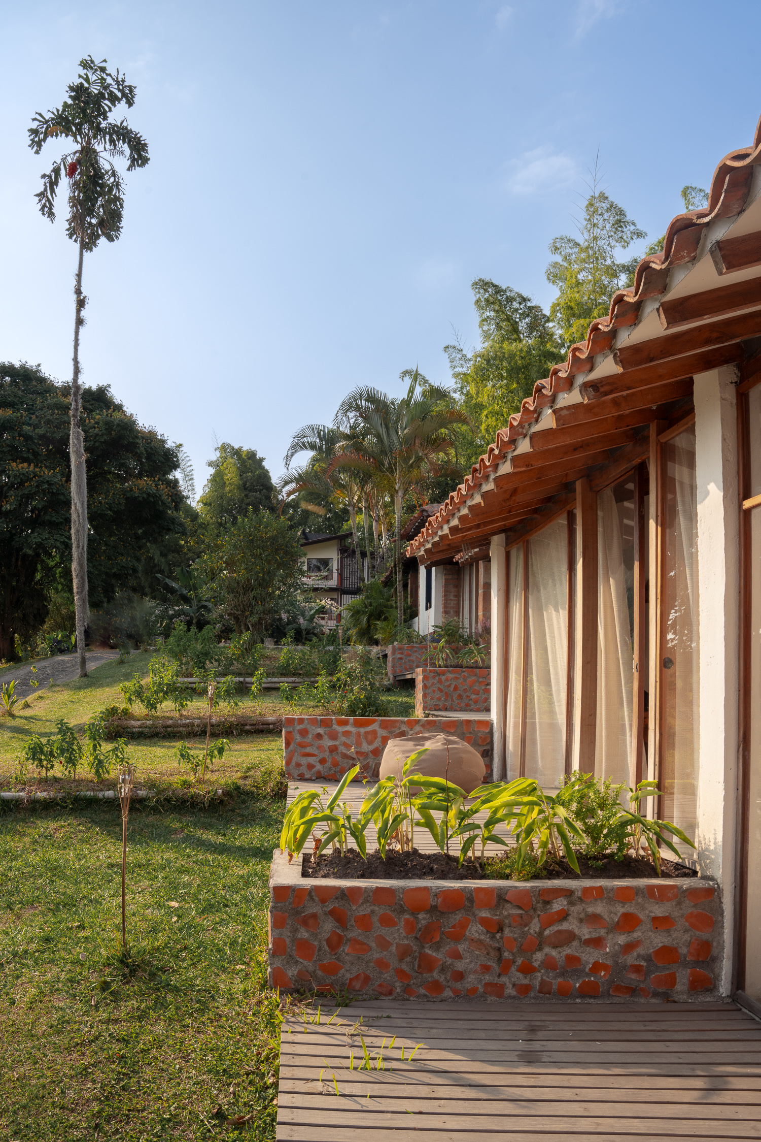 SABATINGA_02-2